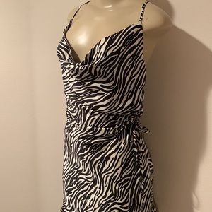 Sexy Silky slip dress